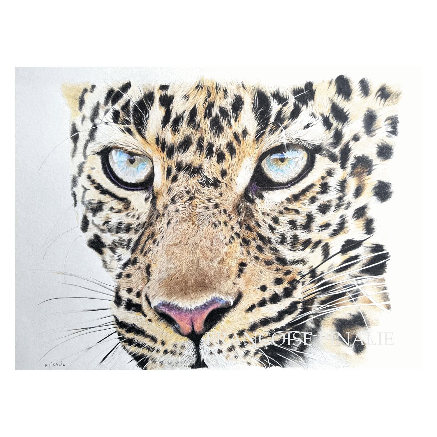 LEOPARD