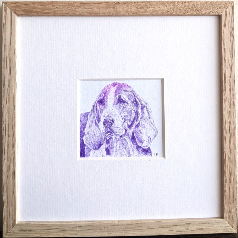 CHIEN DE CHASSE