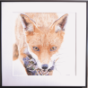RENARD